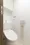 Linden Court Ichigaya - Interior - ["Plumbing fixture", "Toilet seat", "Toilet"] thumbnail