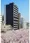 Park Flats Nakameguro - Exterior - ["Residential area", "Condominium", "Human settlement"] thumbnail