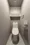 Terra Silk Forest - Interior - ["Toilet seat", "Toilet", "Plumbing fixture"] thumbnail