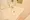 Primal Koishikawa - Interior - ["Tap", "Sink", "Bathroom sink"] thumbnail