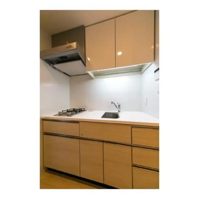 Park Axis Jiyugaoka Terrace - Interior - Kitchen