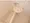 Phoenix Edogawabashi - Interior - ["Plumbing fixture", "Bathroom", "Plumbing"] thumbnail