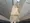Lasiklas Saginomiya - Interior - ["Wood", "Flooring", "Floor"] thumbnail