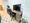 Mynavi Stay Bayside Kachidoki - Interior - [] thumbnail