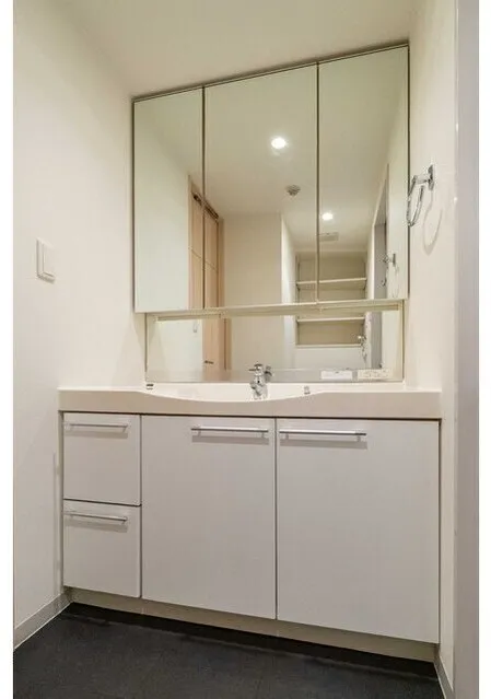 Orchid Residence Kagurazaka - Interior - ["Bathroom Sink", "Sink", "Flooring"]