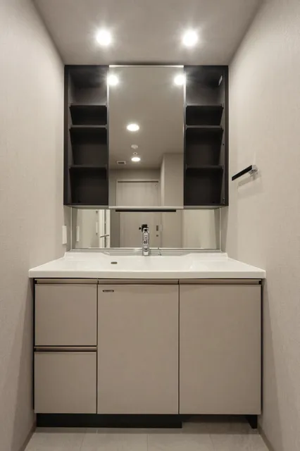 Terra Silk Forest - Interior - ["Bathroom cabinet", "Flooring", "Bathroom Sink"]