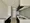 Lieto Court Arc Tower - Interior - ["Flooring", "Ceiling", "Floor"] thumbnail