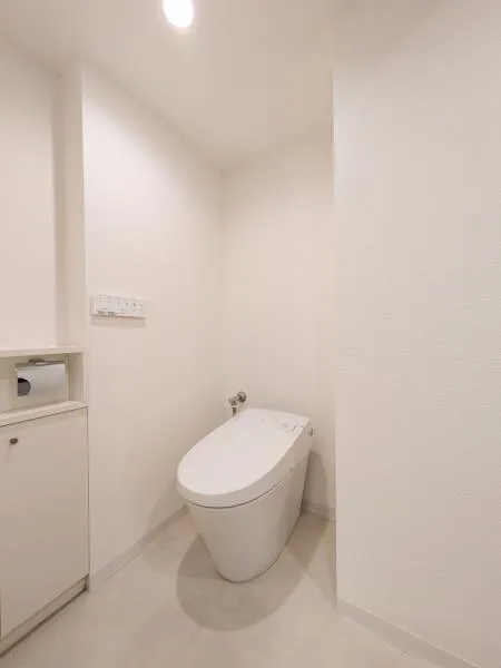 Kojimachi Residence - Interior - ["Flooring", "Floor", "Plumbing fixture"]