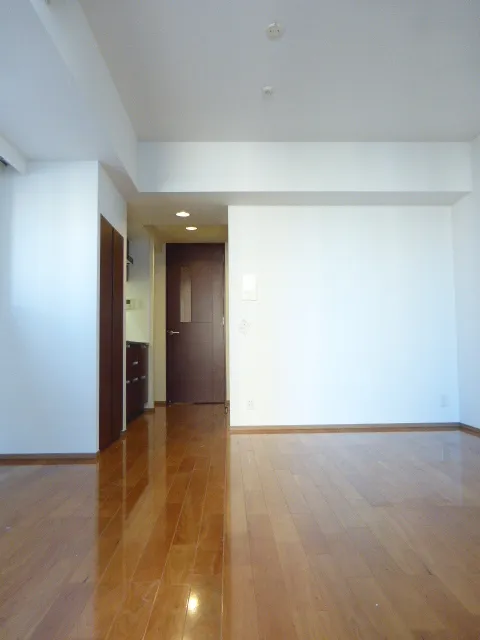Horizon Place Akasaka - Interior - ["Hall", "Wood", "Fixture"]