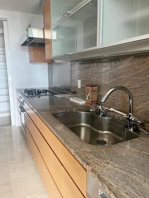 Park Mansion Chidorigafuchi - Interior - ["Tap", "Kitchen sink", "Countertop"]
