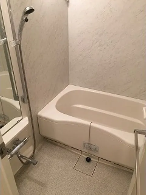 Comforia Harajuku - Interior - ["Bathtub", "Plumbing fixture", "Tap"]
