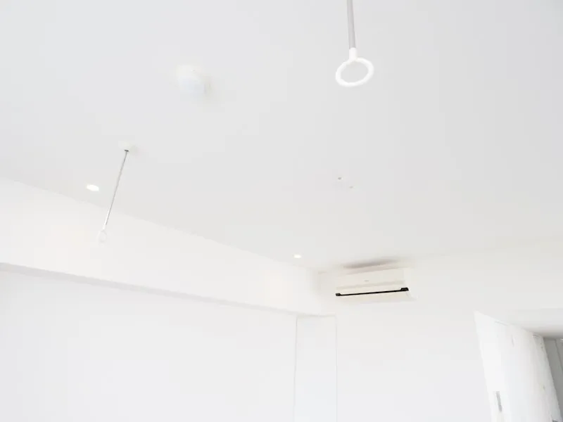 Residia Meguro Ⅲ - Other - ["Wood", "Ceiling", "Composite material"]
