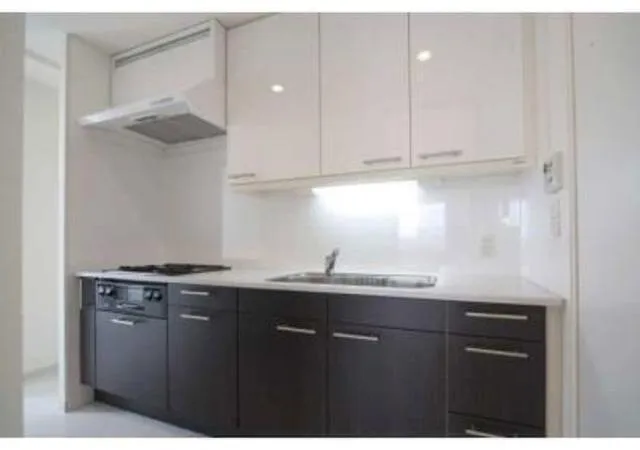 Park Tower Shibaura Bayward Urban Wing - Interior - ["Cabinetry", "Countertop", "Kitchen sink"]