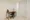 Hmlet Shinjuku Tower - Interior - ["Flooring", "Floor", "Wall"] thumbnail