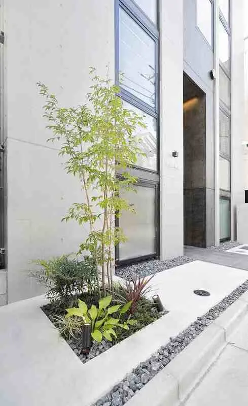 Fullea Kagurazaka - Other - ["Concrete", "Courtyard", "Houseplant"]