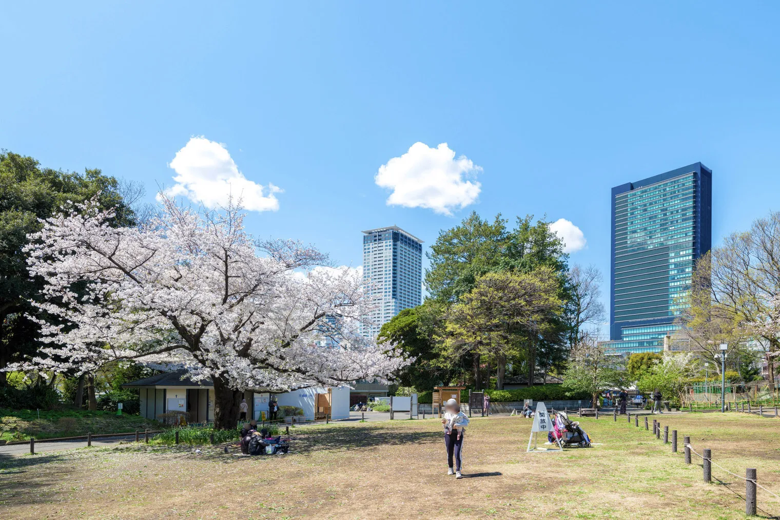 The Parkhabio Shibuya Cross - Other - []