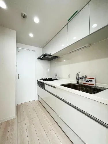 Tokyu Doel Ars Nagayama Ⅰ Room 305