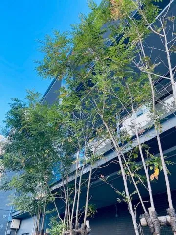 Hiroo Apartment - Exterior - []