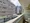 Miele Nihonbashi - Interior - ["Apartment", "Condominium", "Composite material"] thumbnail