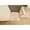 NOBILIS Senkawa - Interior - ["Product", "Rectangle", "Dress shirt"] thumbnail