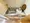 Mynavi STAY Palace Sakurashinmachi - Interior - [] thumbnail