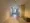 Pollast Yoyogi Hachiman - Interior - ["Flooring", "Floor", "Wood"] thumbnail