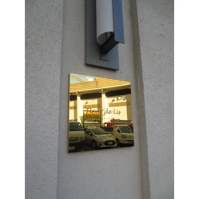 Fleur De Lis - Exterior - ["Tire", "Automotive parking light", "Motor vehicle"]
