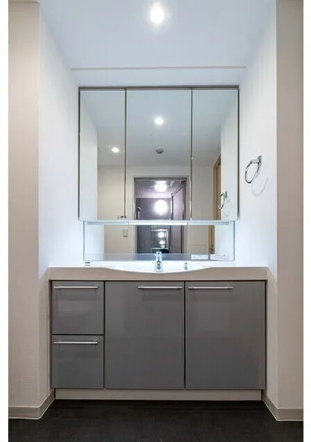 Orchid Residence Kagurazaka - Interior - ["Bathroom Sink", "Interior design", "Bathroom cabinet"]