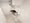 Toggle Otsuka Lerion - Interior - [] thumbnail
