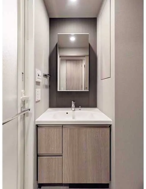 Wellis Urban Sumiyoshi West - Interior - ["Flooring", "Floor", "Bathroom cabinet"]
