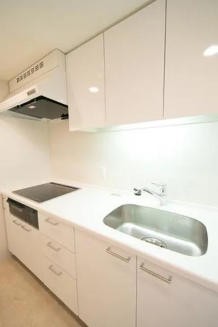 Unison Tower - Interior - ["Kitchen Sink", "Flooring", "Sink"]