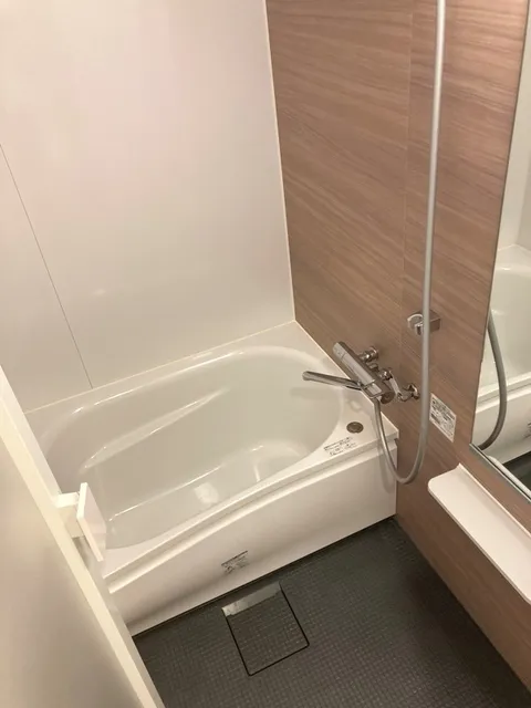 Lefon Progre Kiyosumi Shirakawa Premier - Interior - ["Plumbing fixture", "Bathtub", "Bathroom"]