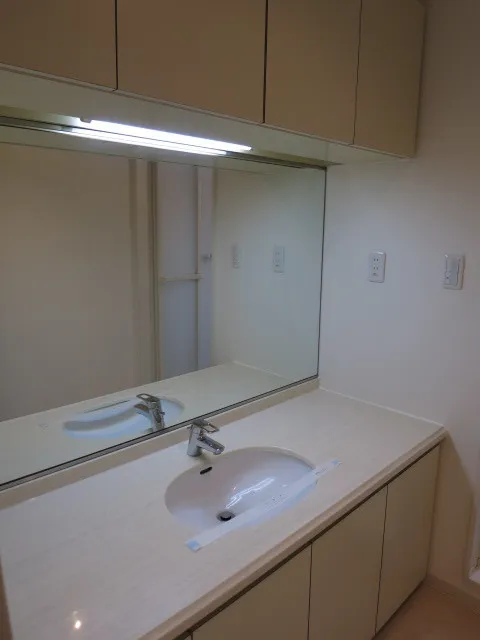 Flats Jun - Interior - ["Mirror", "Tap", "Plumbing fixture"]
