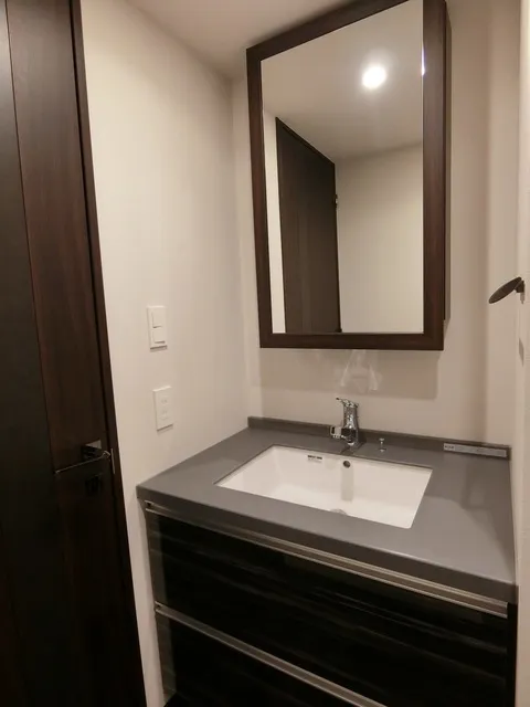 SOLASIA Residence Kyobashi - Interior - ["Bathroom sink", "Plumbing fixture", "Wood"]