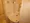 Esty Maison Oshima - Interior - ["Flooring", "Floor", "Interior design"] thumbnail