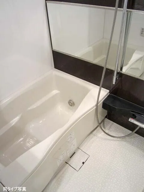 BPR Residence Ebisu - Interior - ["Bathtub", "Plumbing fixture", "Flooring"]