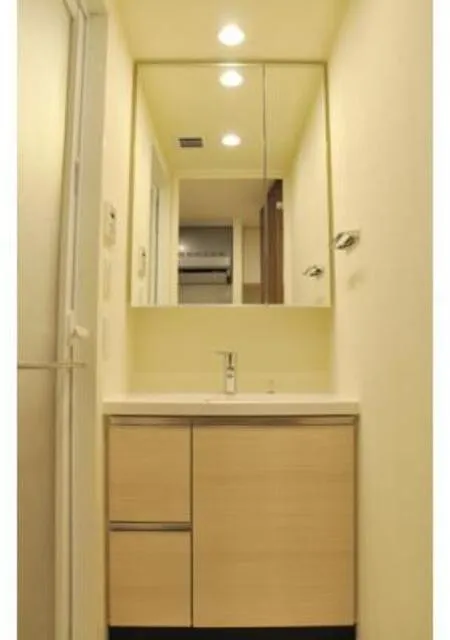 Park Axis Toyosu Canal - Interior - ["Flooring", "Bathroom cabinet", "Floor"]
