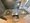 Blanchiesta Kiba - Interior - ["Flooring", "Countertop", "Floor"] thumbnail