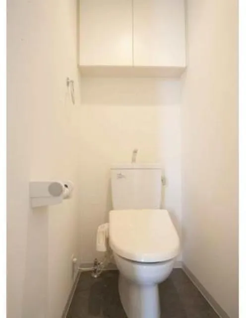 Park Tower Shibaura Bayward Urban Wing - Interior - ["Toilet seat", "Toilet", "Plumbing fixture"]