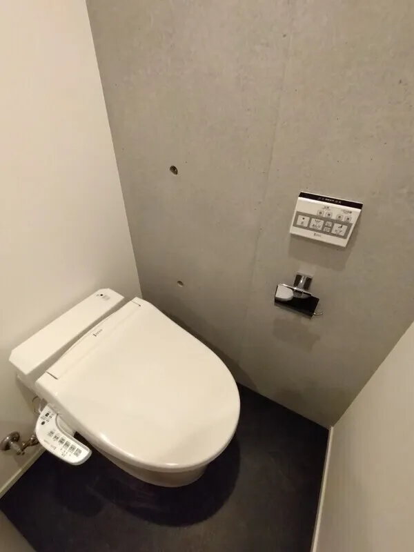 Fullea Hongo - Interior - ["Toilet seat", "Toilet", "Plumbing fixture"]