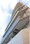 Makes Design Monzen Nakamachi II - Exterior - ["Daytime", "High-rise building", "Urban area"] thumbnail