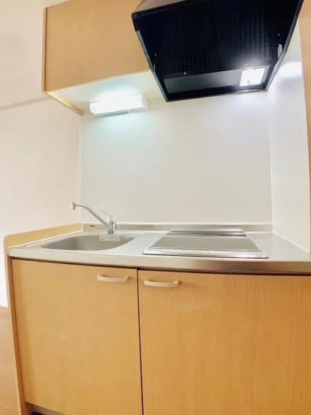 Maison Vert Minami Azabu - Interior - ["Wood", "Flooring", "Kitchen"]