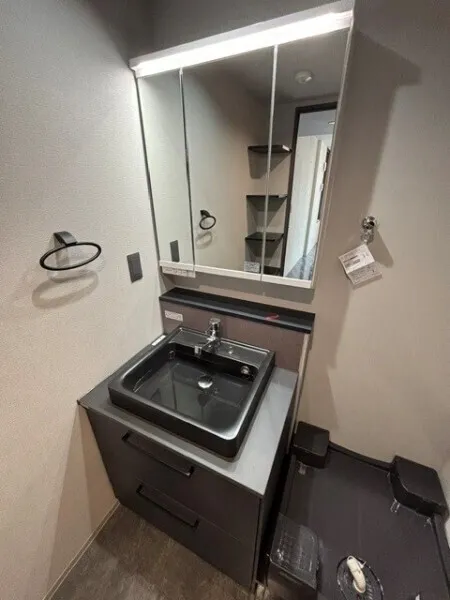 EXAM AKASAKA - Interior - ["Bathroom Sink", "Plumbing fixture", "Flooring"]