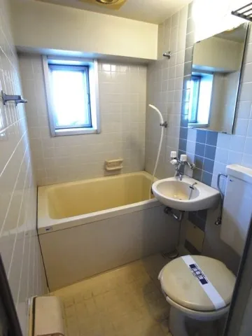 Green Capital Chitose Funabashi - Interior - ["Plumbing fixture", "Bathroom", "Plumbing"]