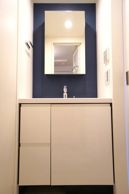 Brillia Ist Ueno Inaricho - Interior - ["Mirror", "Cabinetry", "Fixture"]