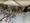 Genovia Minami Azabu Green Veil - Other - ["Bicycle", "Bicycle frame", "Parking"] thumbnail