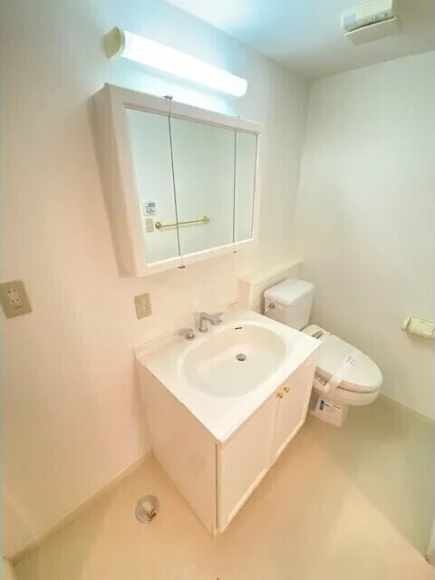 Mill Creek Sakurayama - Interior - ["Flooring", "Floor", "Plumbing fixture"]
