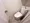 Brillia Ist Shibuya Honmachi - Interior - ["Toilet seat", "Toilet", "Plumbing fixture"] thumbnail