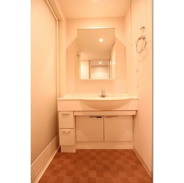Park Flats Ginza East - Interior - ["Bathroom cabinet", "Sink", "Tap"]