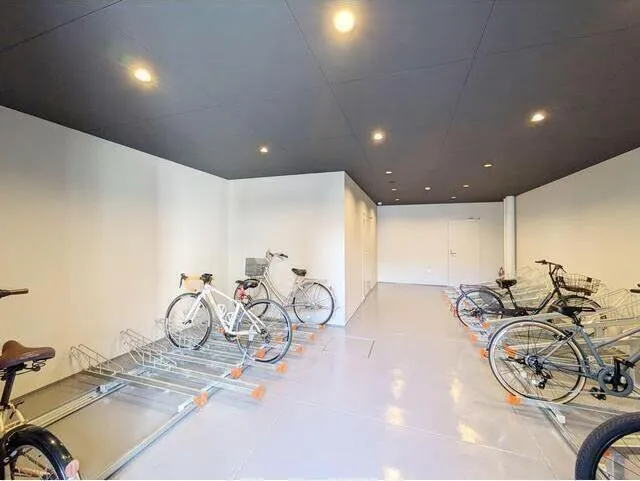 Primal Minowa - Other - ["Ceiling", "Flooring", "Floor"]